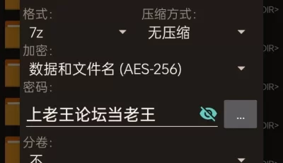 [自行打包] [韩国模特]Bomi (보미) -  Invitation of a Woman Who Lives Alone [视频 2V 图片 87P+4.1GB][百度盘]
