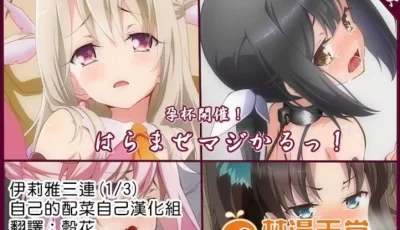 [自行打包] 105311伊莉雅三连（1/3）（全彩+汉化） [47P+8M][百度盘]