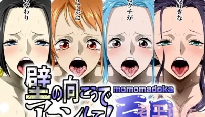 [自行打包] 海贼王的合集新的合集 [1,099p+573 MB][百度盘]