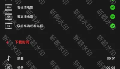 毒舌加速器