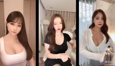 <b style='color: red;'>[已失效] </b>[转载搬运] 自剪辑越南鼓、捣蒜舞、打飞机舞 [1+150][百度盘]