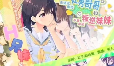 【RPG】无法忍耐的处男哥哥和不直率的叛逆妹妹