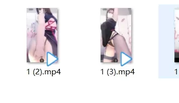 抖音 小阿姨-5 极品熟女 勒B 露阴唇 超大尺度骚舞合集会议
