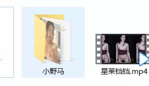 网易CC 9636啵啵 舞蹈小野马 星莱铛铛 重金定制