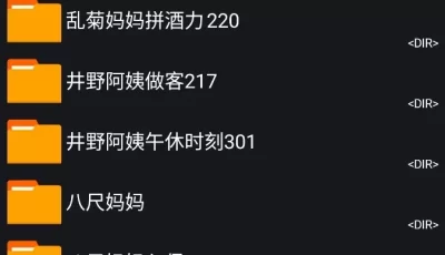 [自行打包] 来点儿大部分老哥没看过的AI [200-400P+2.9G][百度盘]