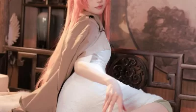 阿包也是兔娘 – NO.094 碧蓝航线英仙座旗袍[30P-210.5M][pikpak...