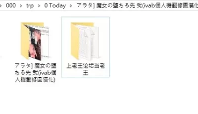 <b style='color: red;'>[已失效] </b>[自行打包] アラタ] 魔女の堕ちる先 弐(ivab個人機翻修圖漢化)20240525 [466P+1.16G][百度盘]