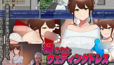 [日式RPG/凌辱] 凌辱新娘