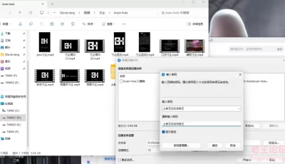 <b style='color: red;'>[已失效] </b>[自行打包] brain hole寸止挑战合集 [10V+5.94G][百度盘]