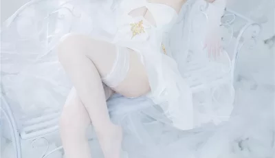 [转载搬运] 封疆疆v - 恰巴耶夫 [29P+261MB][百度盘]
