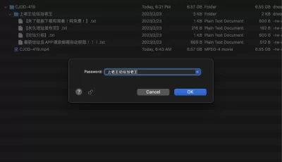 [自行打包] CJOD-419 森日向子 中文字幕 [1V+7.03G][百度盘]