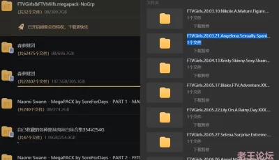 [转载搬运] FTVgirls 4K 300g 大合集 [29v+300g][磁力链接]