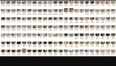 [自行打包] 伪娘shinen大合集 onlyfans订阅下载430v 共245G [949v+245G][ [949v+245G][百度盘]