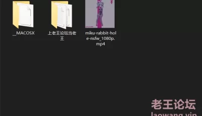 [自行打包] 2D像素rabbit-hole（兔子洞） 1币 [V1+35.19M][百度盘]