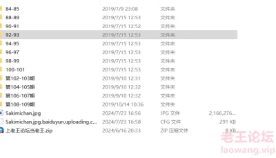 [自行打包] sakimichan合集 [500p+2.44g][百度盘]