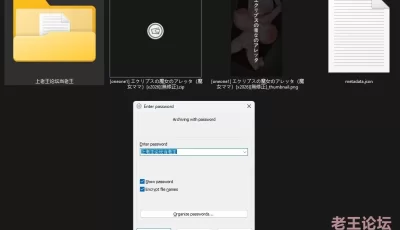 [自行打包] 【CG/無修正/无损分镜】[oneone1] エクリプスの魔女のア[x2026] [43P+166M][百度盘]