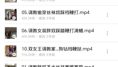 [转载搬运] 做脸，调教，女王，略微重口（链接永久有效） [12个+11.7][百度盘]