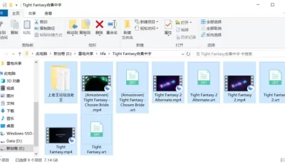 [自行打包] Tight Fantasy3D同人动画最终幻想tifa蒂法4部中文字幕合集 [4v+7.14G][百度盘]