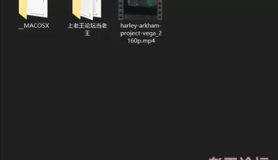 [自行打包] Project Vege的Harley Arkham(蝙蝠侠里的小丑女哈利奎因)4K 1币 [V1+58.9M][百度盘]