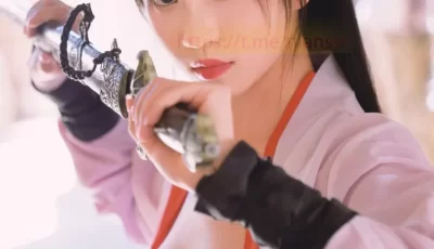 [转载搬运] 年年新图-侠客 [70p+20mb][百度盘]