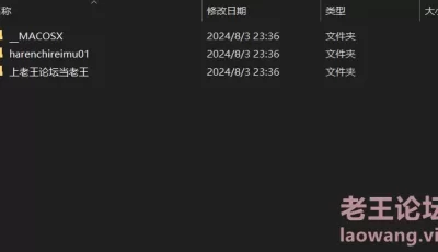 [自行打包] comonun fantia商品东方系列自费购买 3币 [V19 P352+2.12G+2.30G][百度盘]