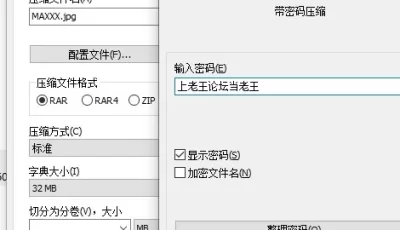 [自行打包] P站 肥臀大奶MaXXXMichelle 合集 [23V+3G][百度盘]