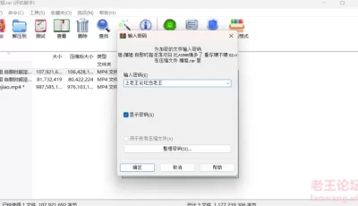 [自行打包] 媚姐3v谁手里还有吗 [3v+1.1G][百度盘]
