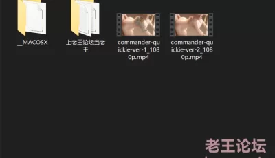 [自行打包] exga的作品commander（尼尔机械纪元的司令官） [V2+34.39M][百度盘]