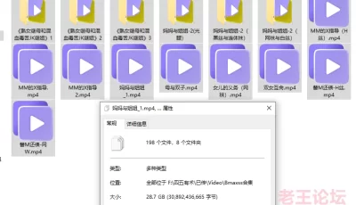 [转载搬运] 【母子】饥渴妈妈猛夹儿子肉屌，精选Bmaxss小马大车合集15部 [15v+27.6G][百度盘]