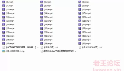[自行打包] 穷人女神富人母狗，超高颜值极品空姐【林绾绾】最新8月... [39V＋45P+3.20G][百度盘]