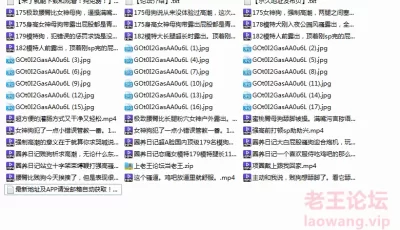 [自行打包] 字母圈的顶级调教大神『棱镜圈养体验馆』极致腰臀比长... [27V＋17P+962M][百度盘]