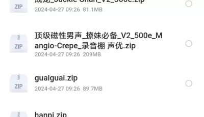 某付费网流出的实时变声器rvc变声器30+珍藏模型