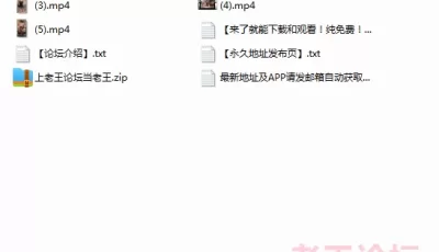 [自行打包] 【重磅】极品绿帽博主【Cougarwife夫妻】给漂亮老婆找男人 [18V 69P+1.19G][百度盘]