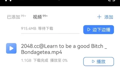 [转载搬运] BondageTea_绳精病合集 [174v+85.8g][磁力链接]