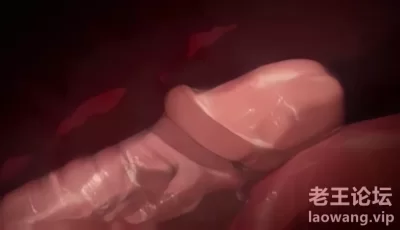 [转载搬运] AI去码  OVA義姉はヤンママ授乳中 1+2 高帧1080p外挂字幕 [2v+2G][百度盘]
