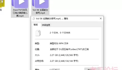 [转载搬运] [无码/小马大车/VAM] TNT ：古风江湖萧家蝶儿篇+玄冥教女祭司 [2v+2.27G][百度盘]