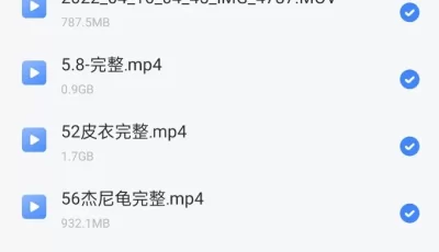 [转载搬运] 巨乳反差婊小巨Nasiax最全最新磁力合集 [65V+77.7g][磁力链接]