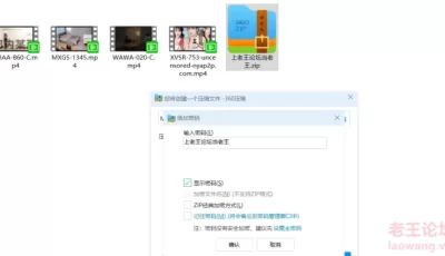 [自行打包] 波多野结衣MIAA-860-C、MXGS-1345、WAWA-020-C、XVSR-753 [4+18][百度盘]