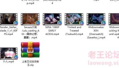 <b style='color: red;'>[已失效] </b>[自行打包] 个人自用-巨社保 [25mp4+5g][百度盘]