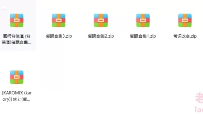 <b style='color: red;'>[已失效] </b>[转载搬运] 汉化本/催眠/萝莉及其他标题合集，共计19.91G [n本+19.91G][百度盘]