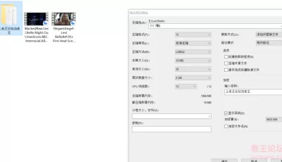 [自行打包] 小甜甜Lexi Belle两部 [2v+1G][百度盘]