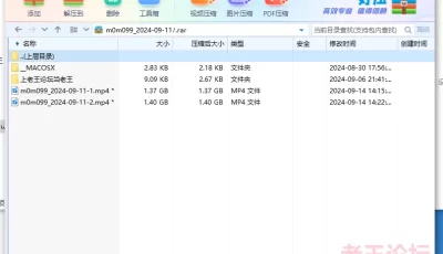 <b style='color: red;'>[已失效] </b>[自行打包] m0m099 2024-09-11 直播热舞 [2V+2.78G][百度盘]