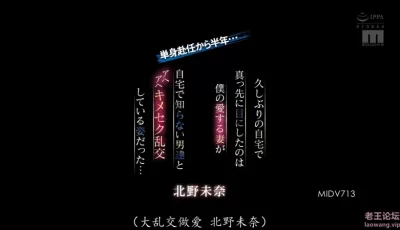 [转载搬运] MIDV-713-C  北野未奈老师1V5 [1V+4.87G][磁力链接]