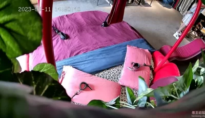 <b style='color: red;'>[已失效] </b>[自行打包] 情趣酒店大圆床，JK装骚货约炮，拳交振动棒伺候 [1+1.58G][百度盘]