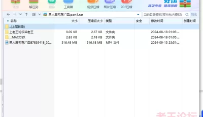 <b style='color: red;'>[已失效] </b>[自行打包] 20240915录制--黑人屌毛在广西 [1V+516M][百度盘]