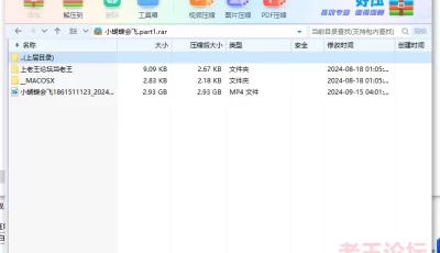 <b style='color: red;'>[已失效] </b>[自行打包] 20240915录制--小蝴蝶会飞 [1V+2.93G][百度盘]
