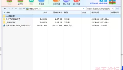 <b style='color: red;'>[已失效] </b>[自行打包] 20240915录制--幼猫 [1V+0.49G][百度盘]