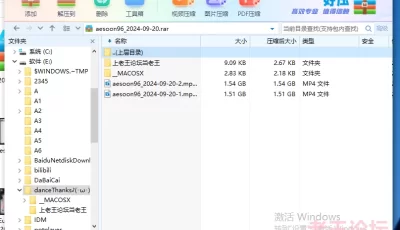 <b style='color: red;'>[已失效] </b>[自行打包] aesoon96_2024-09-20 [2V+3.06G][百度盘]