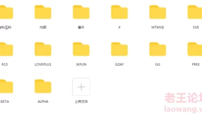 [转载搬运] 森萝财团的分文件夹合集 [NPNV 14文件夹+190G][百度盘]