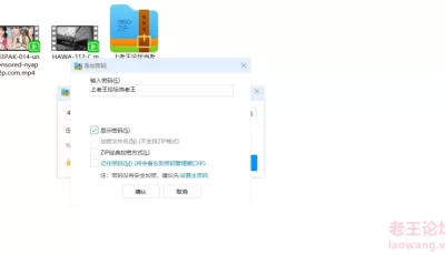 [自行打包] 斋藤亚美里483PAK-014、HAWA-312-C [2V+5.5G][百度盘]